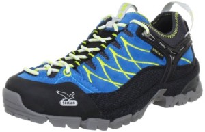 Salewa-GTX-Damen